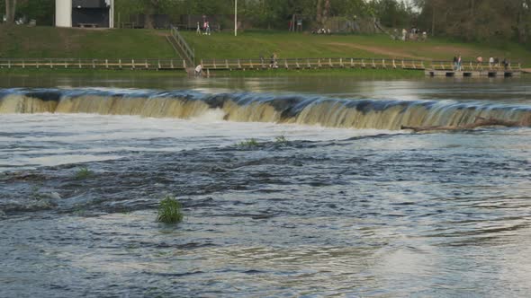 Flying Fish at Ventas Rumba Waterfall. The Widest Waterfall in Europe in Latvia Kuldiga