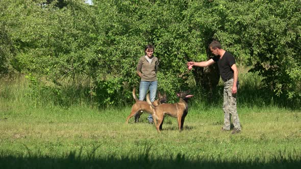 Dogs and Their Owners Are Playing with Toys.