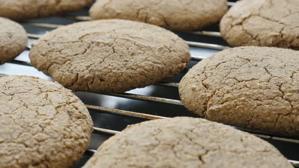 Tilting on healthy bread product on baking rack 4K 2160p 30fps UltraHD footage - Close-up of fresh b