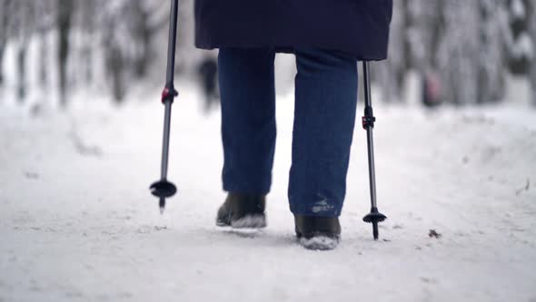 Active Senior Elderly Woman Training Nordic Walking with Trekking Poles. Elderly Woman Practicing