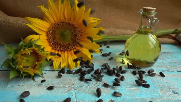 Sunflower, sunflower oil on blue vintage wooden table top and falling sunflower seeds on it