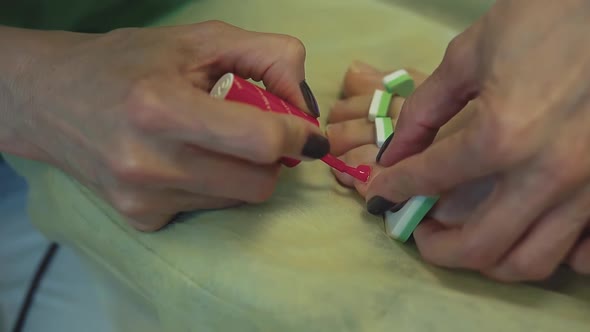 Closeup Pedicurist Paints Young Woman Toenails