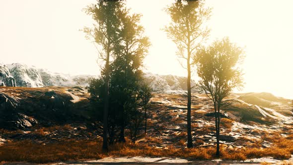 Beautiful Rocks with Few Trees at the Daylight in Nepal