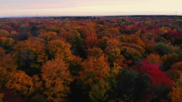 Flying above a colorful forest in the fall