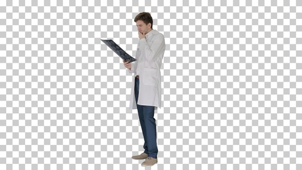 Concentrated male doctor looking at computed, Alpha Channel