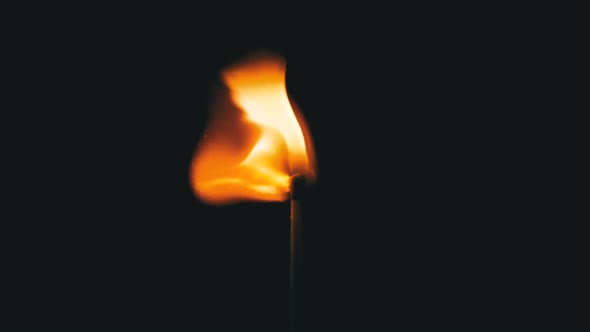 Lit Match and Flame on a Black Background and Then Goes Out Creating a Lot of Smoke