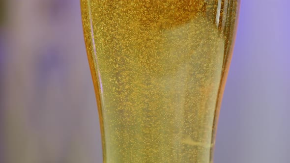 Cold Light Beer in a Glass on a Bluish Blurred Background