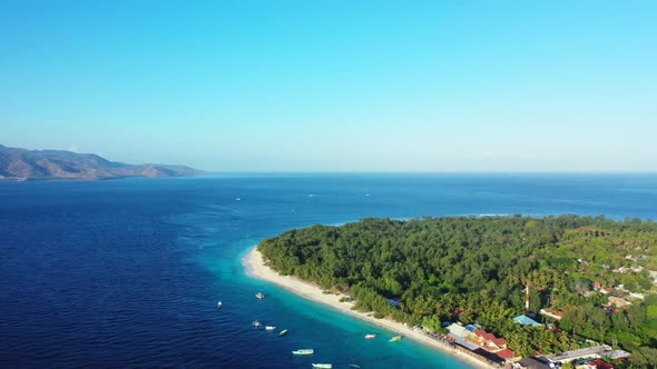 Aerial above abstract of idyllic tourist beach wildlife by clear ocean with clean sandy background o