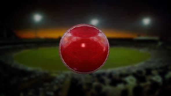 Ball Cricket