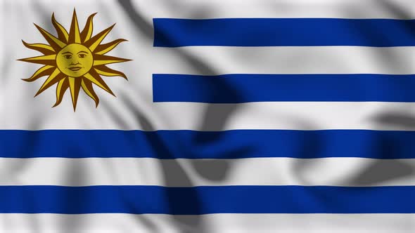 Uruguay Flag Animation Loop Background