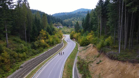 Road in the Mountains