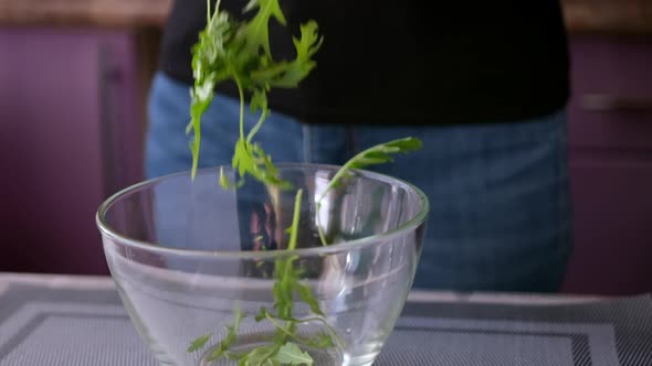 Healthy Lifestyle  Woman Pouring Arugula Into Glass Bowl