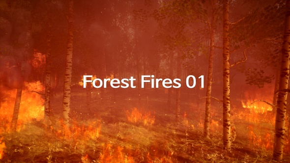 Forest Fires 01