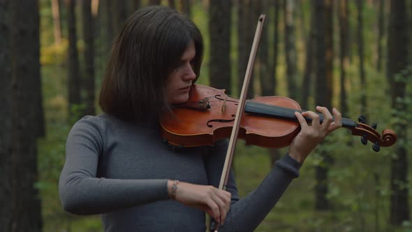 Musician Is Playing Violin Inspired By Nature