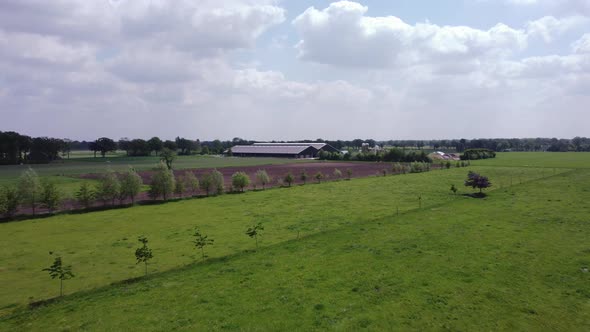 Dairy farm in agricultural area in the Achterhoek, the Netherlands