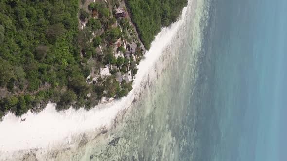 Vertical Video of the Ocean Near the Coast of Zanzibar Tanzania Aerial View