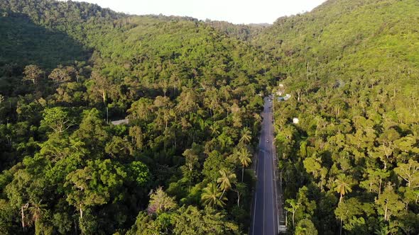 Asphalt Road Through Settlement and Jungle. Asphalt Road Going Through Small Typical Settlement and