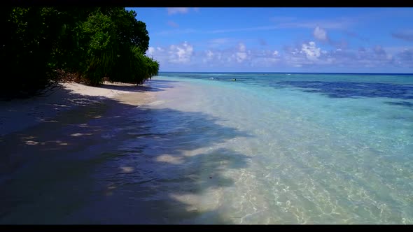 Aerial drone shot scenery of idyllic bay beach wildlife by shallow water with white sand background 