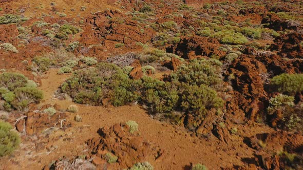 Aerial View of Solidified Lava and Sparse Vegetation in the Teide National Park