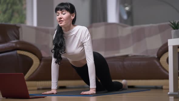 Slim Flexible Caucasian Woman Talking Exercising in Cobra Pose in Front of Laptop