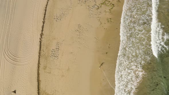 Aerial is flying in Birdview above the Beach of Porto Santo, Madeira, Portugal