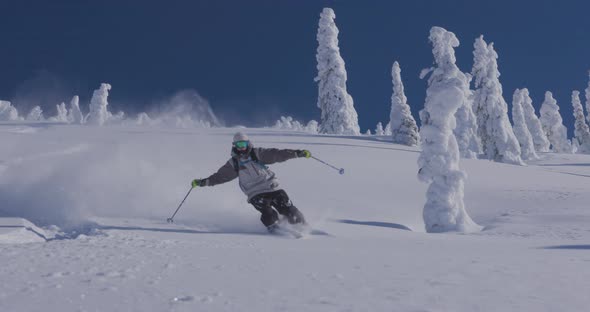 Downhill Skier- Shredding Fresh Powder