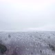 Winter Forest From Above - VideoHive Item for Sale