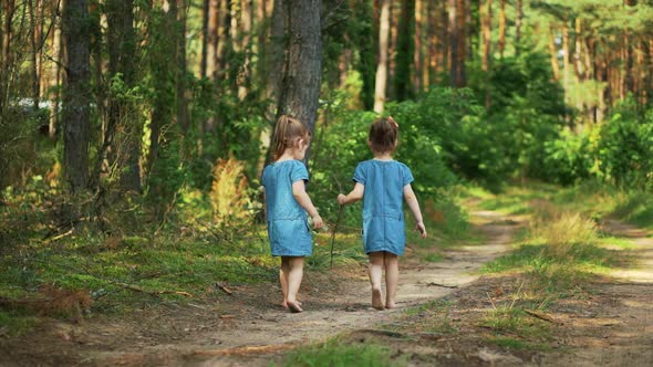 Girls are Walking on a Forest Road