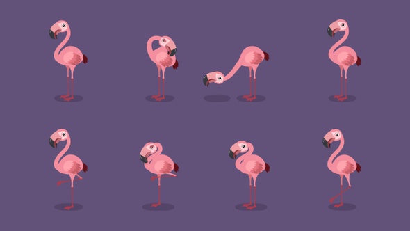 Cartoon Flamingo