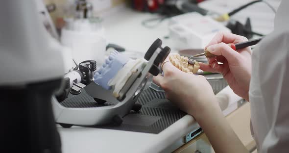 A female dentist technologist holds a mock-up of a jaw in her hands. Making dentures