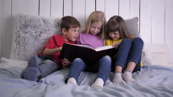 Home Education, Clever Cute Little Children Doing Homework and Reading Book with Happiness Sitting