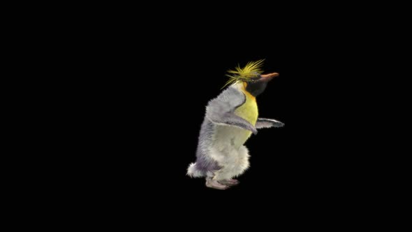 Penguin Dancing HD