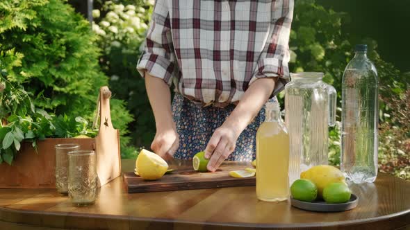 Young Woman Making Summer Homemade Lemonade Drink