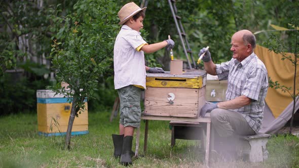 Apiary Caring Grandfather Together with Hardworking Grandson Use Bushes and Paints to Prepare Hives