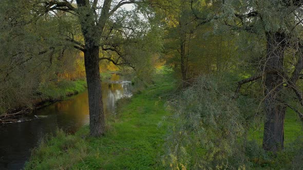 Autumn Morning