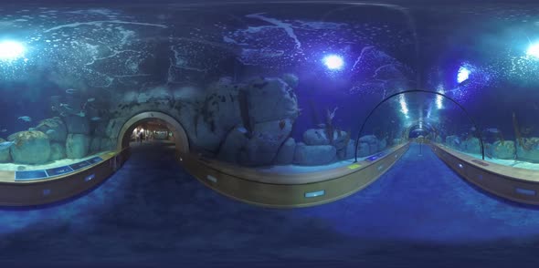 360 VR Inside Oceanografic in Valencia, Spain