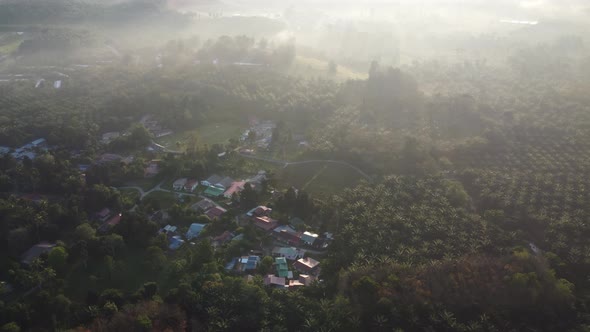 Morning foggy village