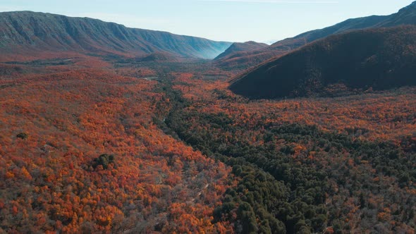 Aerial view of an immense landscape with blue sky, mountains and vegetation at daytime