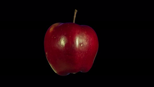 Rotating Isolated Red Apple 