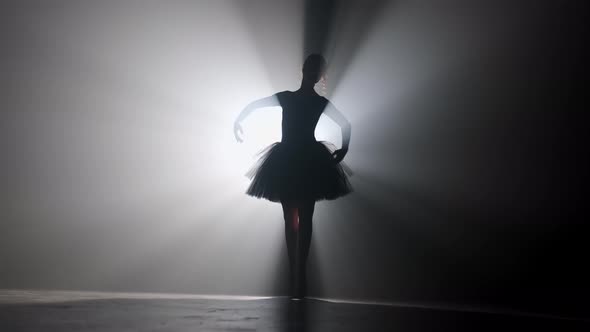 Professional ballerina dancing ballet in spotlights smoke on big stage