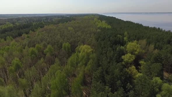 Top View From Dron of Green Forest and Blue Lake. Amazing Nature