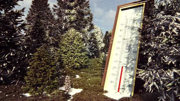 Thermometer in Forest Shows Lowering Temperature