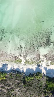 Tanzania  Vertical Video of the Ocean Near the Coast of Zanzibar Slow Motion