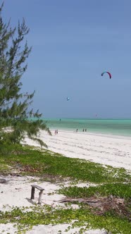 Vertical Video Kitesurfing Near the Shore of Zanzibar Tanzania