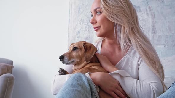 Elegant Beautiful Blonde Woman Simple Clothes Plays with Cute Adorable Brown Dog Dachshund in the