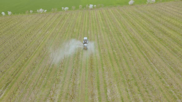 An Aerial View of a Tractor Spraying a Farmers Apple Crop In