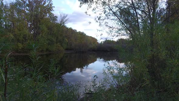 Forest lake in the evening