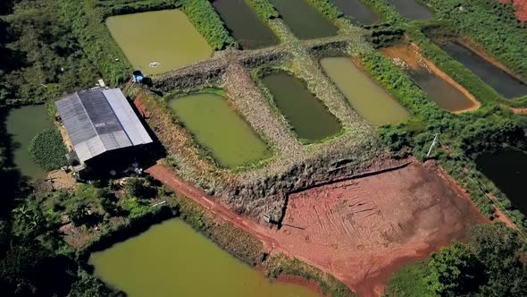 Incredible aerial view rising up over commercial fish farming ponds in a fishery in the Tocantins re