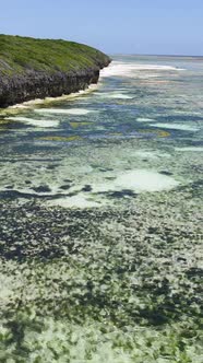 Vertical Video of Low Tide in the Ocean Near the Coast of Zanzibar Tanzania