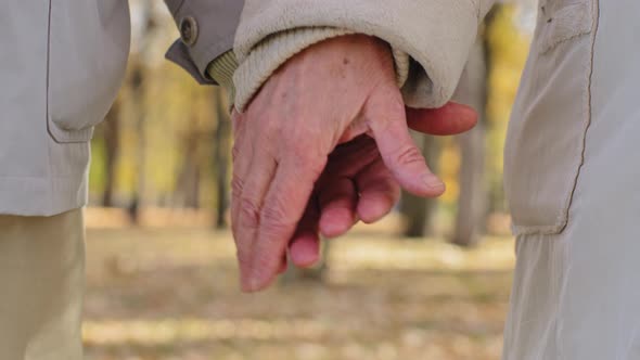 Closeup Arms Elderly Couple Mature Man Takes Wife By Hand Grandparents Retired Spend Time Together